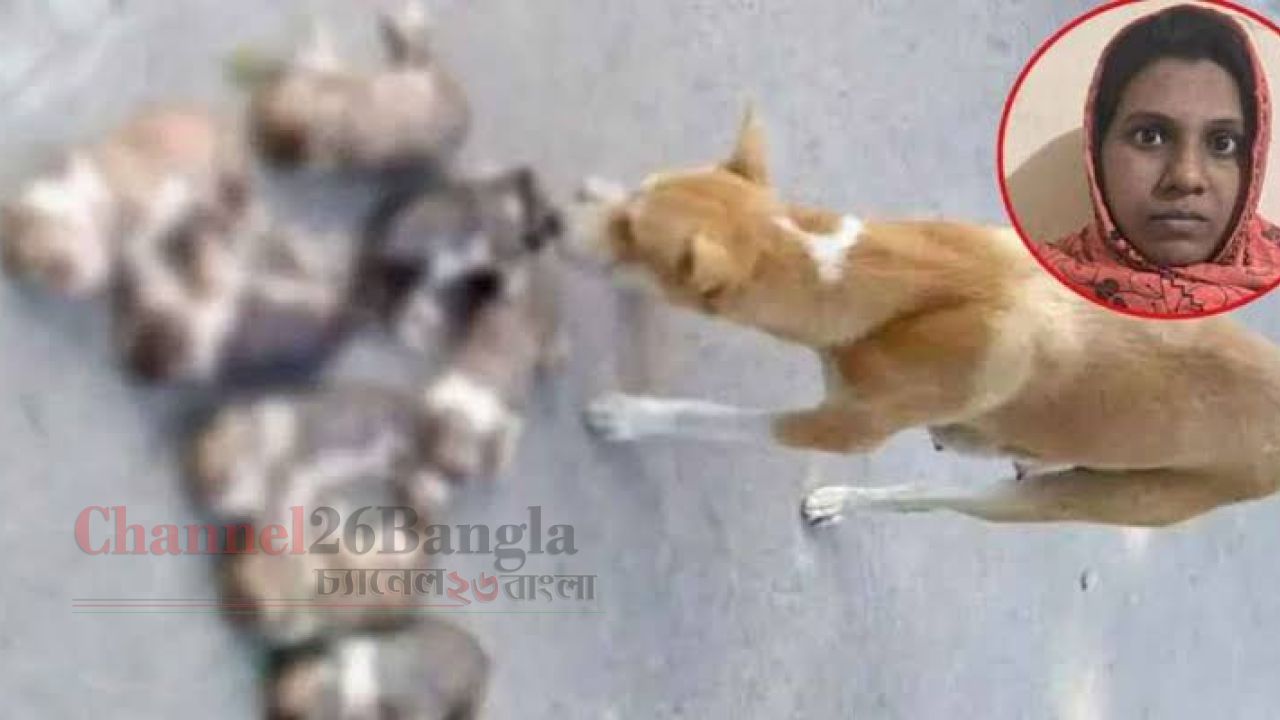 বস্তাবন্দি করে পুকুরে ফেলা কুকুর ছানা, আলোড়ন সৃষ্টি&mdash;নিশি রহমান আটক