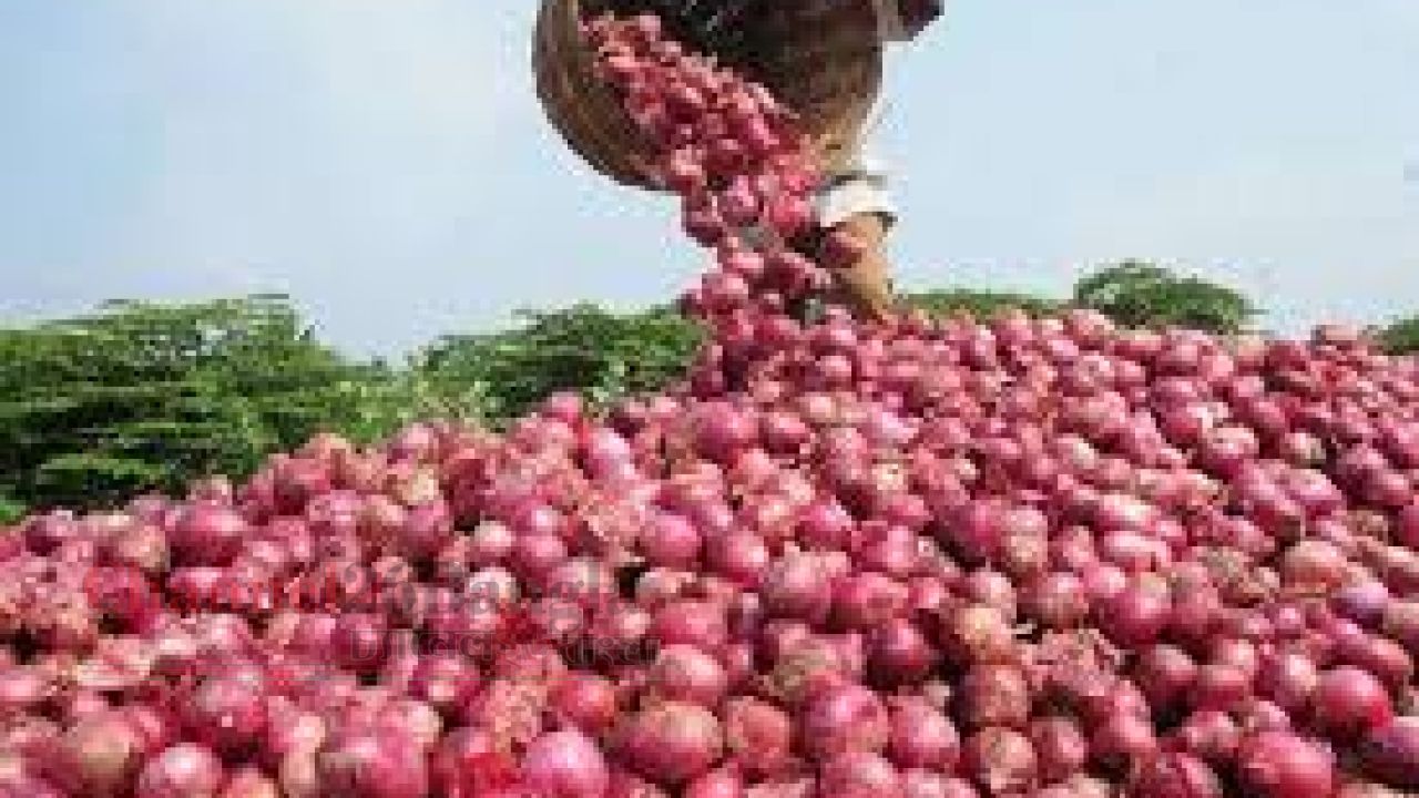 আমদানির খবরেই স্বস্তি: হিলিতে পেঁয়াজের দাম কমল কেজিতে ৩০ টাকা