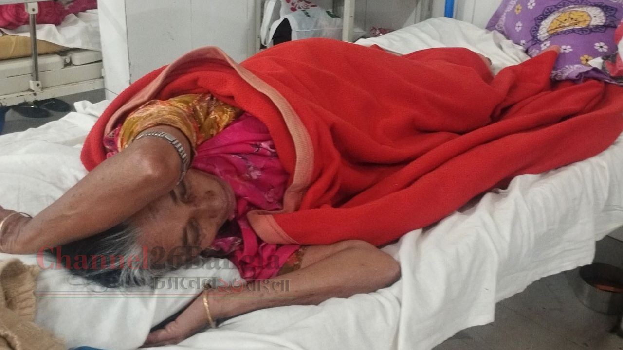 পাওনা টাকা না পেয়ে সোনারগাঁয়ে বৃদ্ধা মায়ের ওপর পাওনাদারদের হামলা