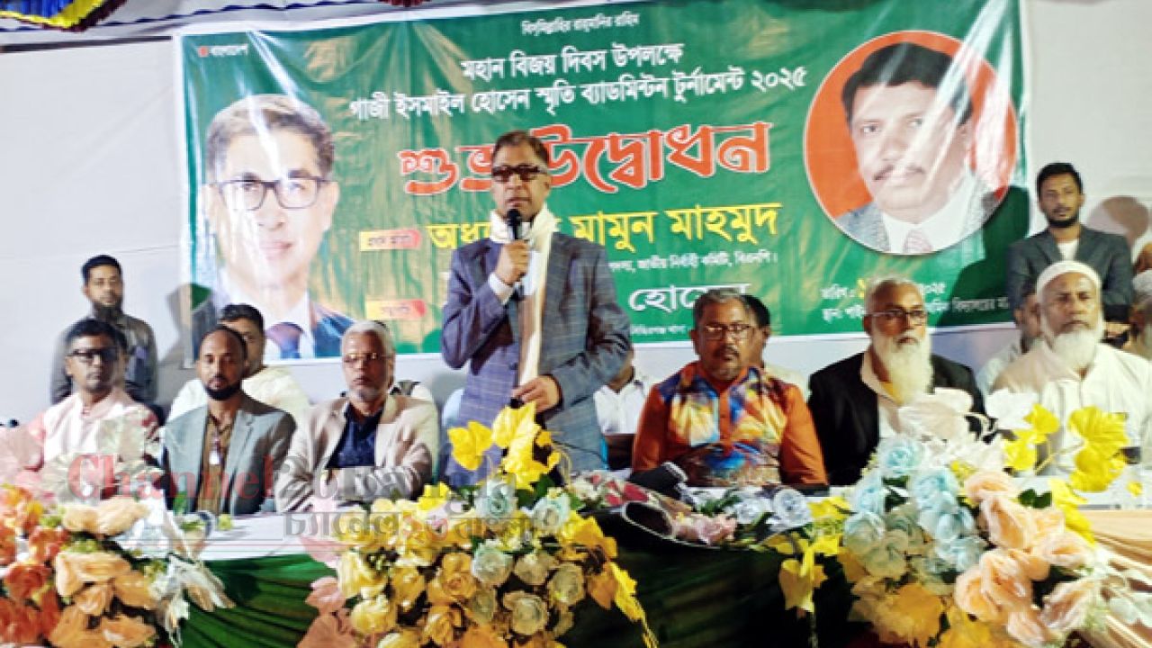 বাংলাদেশ বিশ্বের দরবারে মাথা উঁচু করে দাঁড়াবে-অধ্যাপক মামুন মাহমুদ