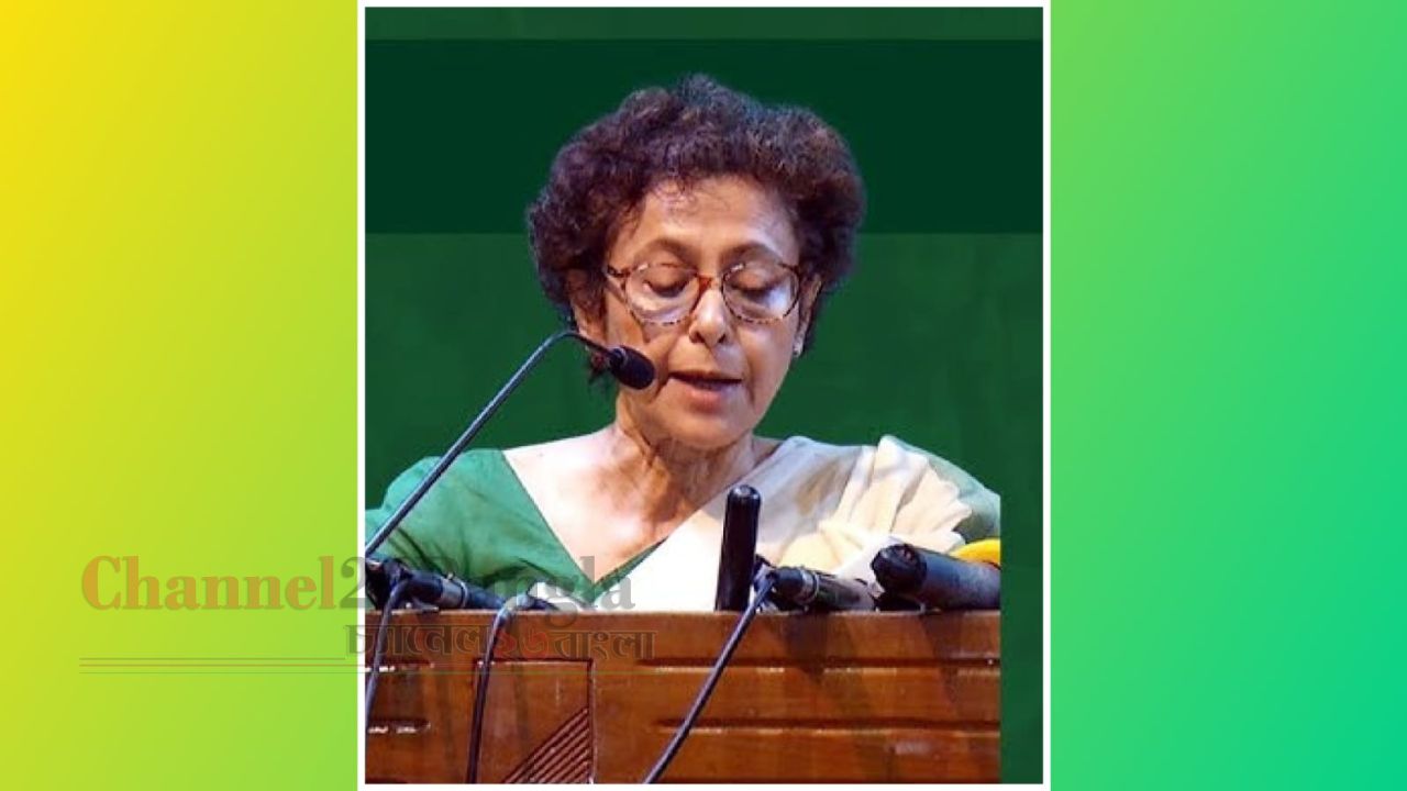 অন্তর্বর্তী সরকারকে মতপ্রকাশের স্বাধীনতা নিশ্চিত করতে হবে: আইরিন খান