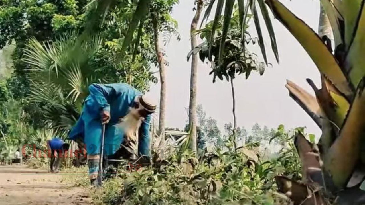 ঠাকুরগাঁওয়ে ১ লাখ তালগাছ রোপণকারী খোরশেদ আলীকে জেলা প্রশাসকের সম্মাননা