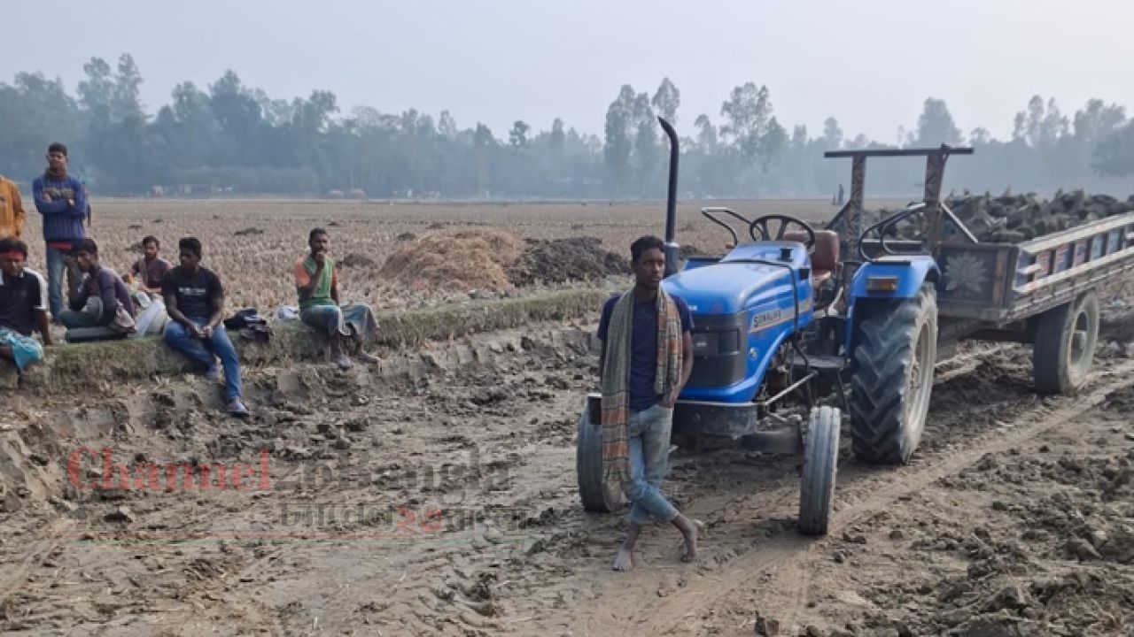 উলিপুরে ফসলি জমির মাটি কাটায় ৩ জনকে জরিমানা