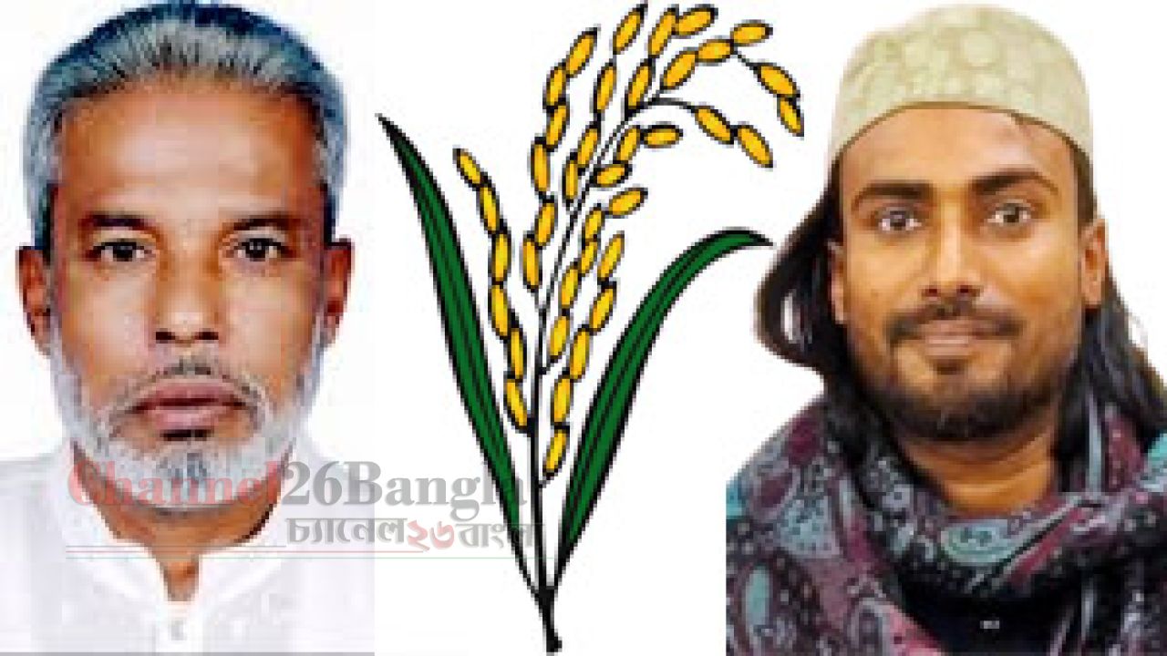 নারায়ণগঞ্জ-৩ আসনে ধানের শীষের প্রার্থীকে বিজয়ী করতে ছাত্রদল নেতা হাবিবের আহ্বান