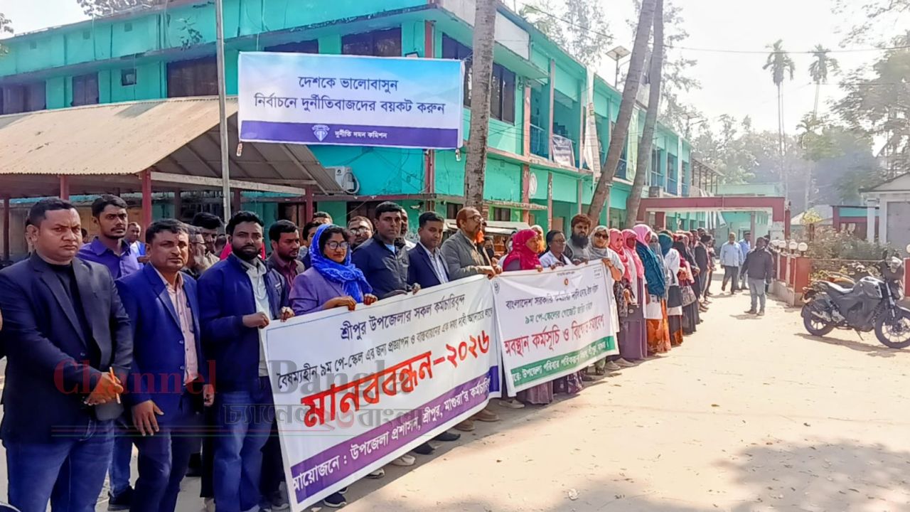 শ্রীপুরে ৯ম পে-স্কেলের দাবিতে সরকারি কর্মচারীদের কর্মবিরতি ও মানববন্ধন
