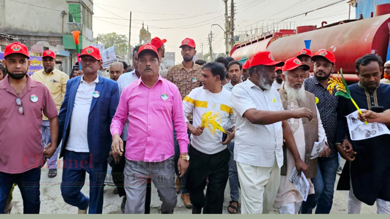 সিদ্ধিরগঞ্জে আসলামের গণসংযোগে মানুষের ঢল: ধানের শীষের সমর্থনে বিশাল মিছিল