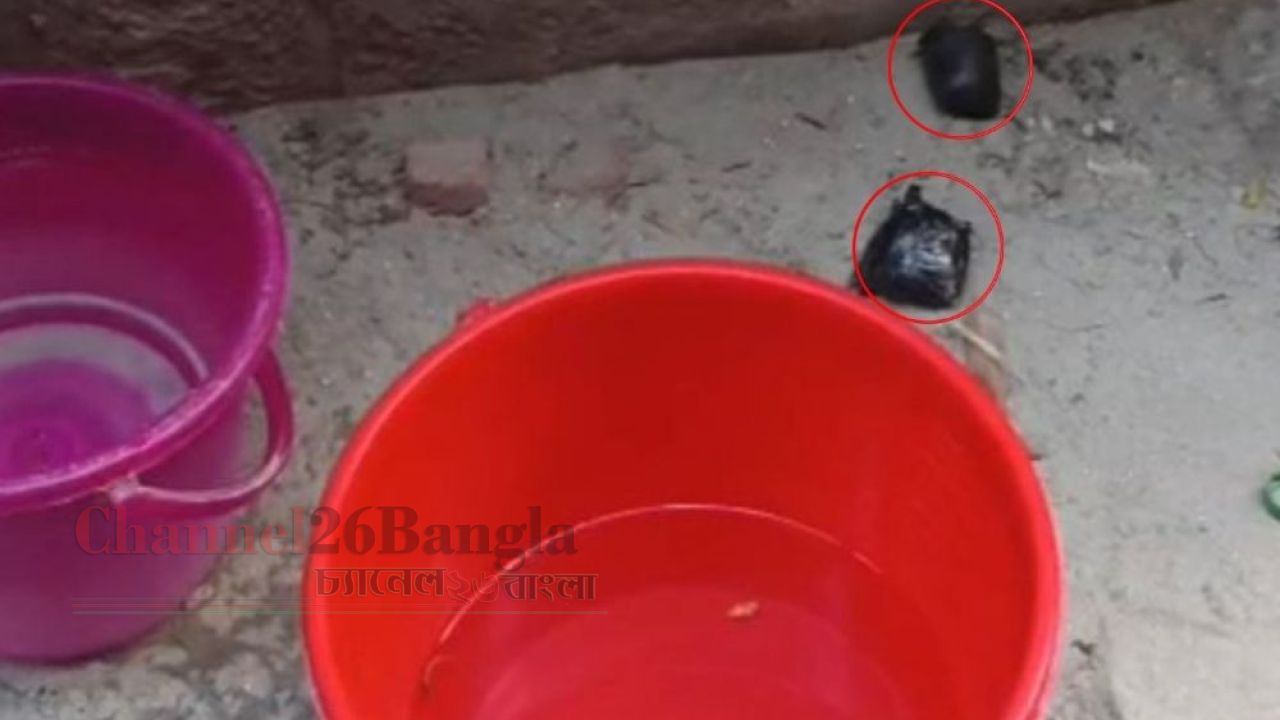 ফতুল্লায় দিনে দুপুরে প্রবাসীর বাড়িতে ডাকাতি