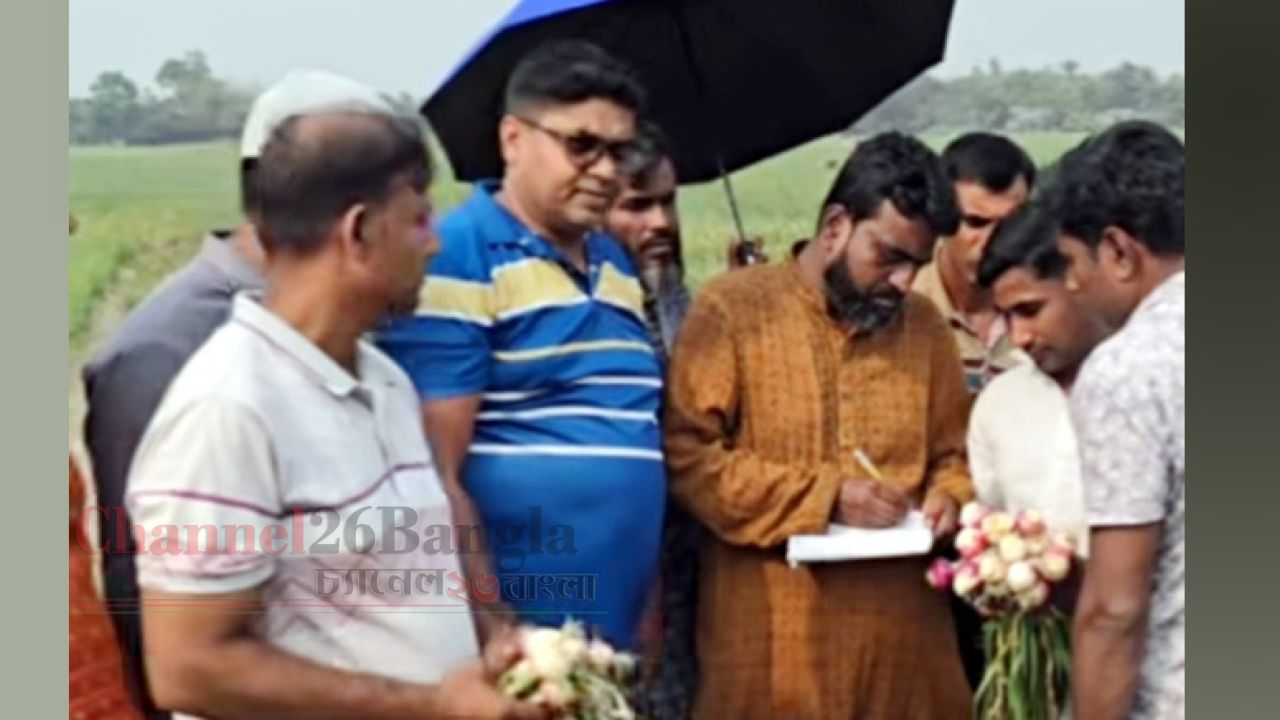 সাঁথিয়ায় দুর্বৃত্তদের বিষ প্রয়োগে কৃষকের ৬ বিঘা পেঁয়াজ নষ্ট