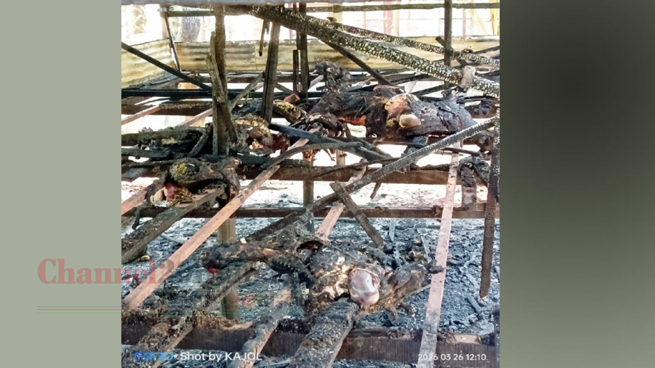 ভাঙ্গায় দুর্বৃত্তের আগুনে পুড়ল তরুণ উদ্যোক্তাদের খামার: ৩৬ ছাগলের মৃত্যু
