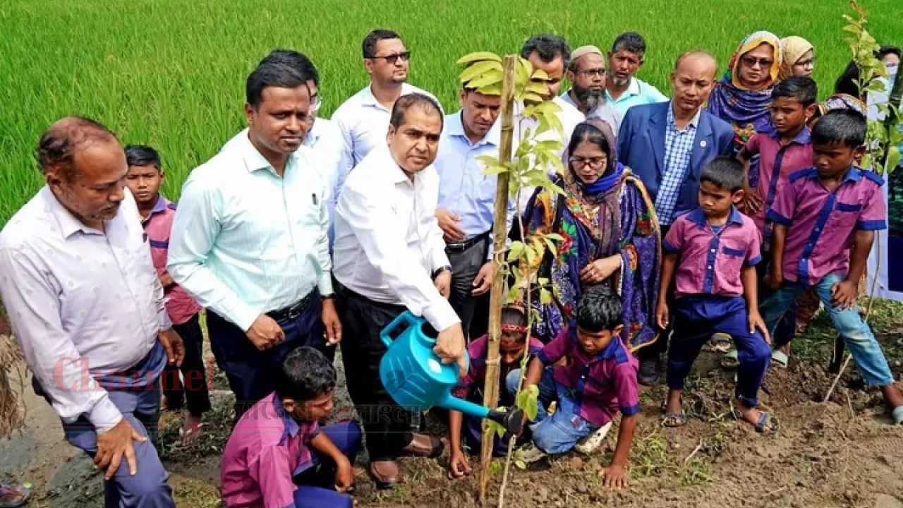 রংপুরে বৃক্ষরোপণ কার্যক্রমের উদ্বোধন: গুরুত্ব পেল পরিবেশের ভারসাম্য