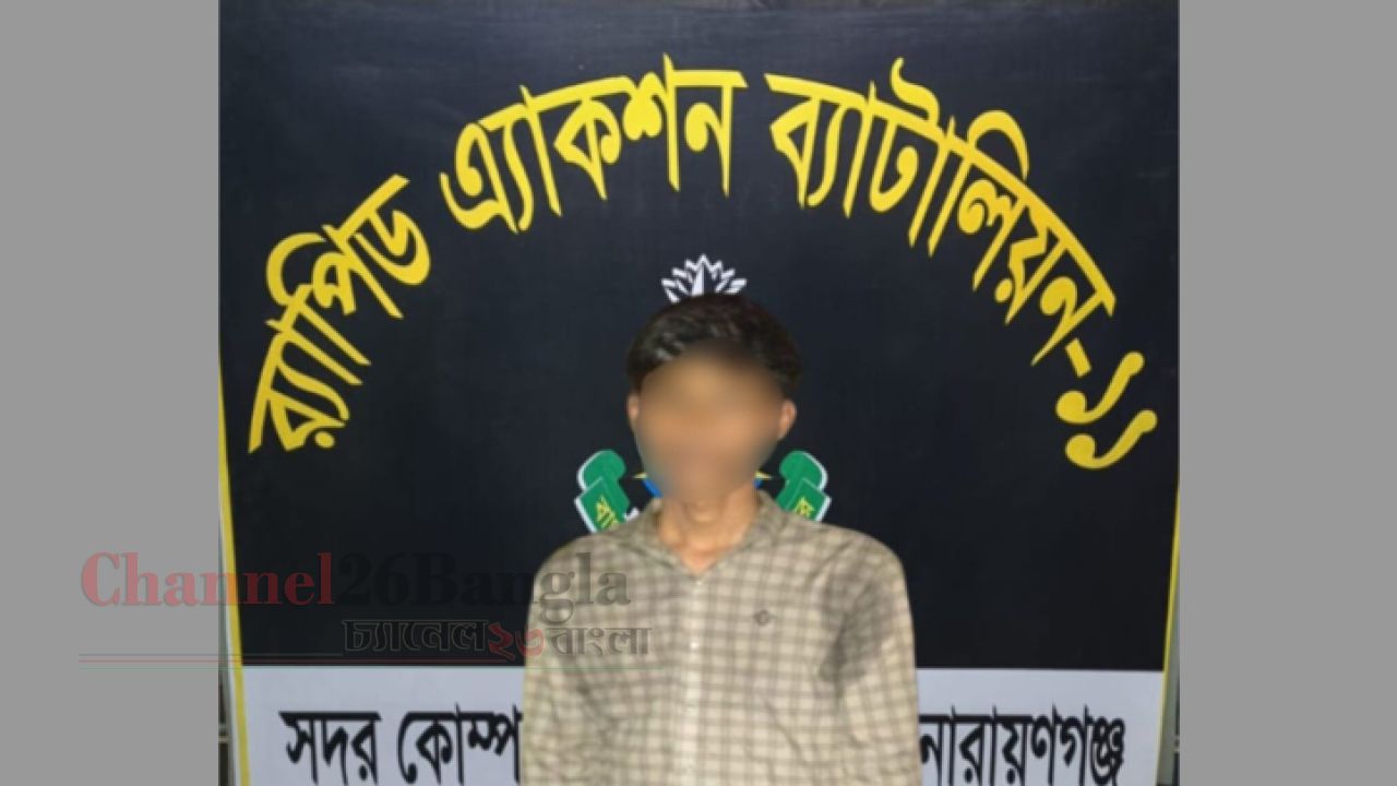 নাটোরে স্কুলছাত্রীকে ধর্ষণের চেষ্টা মূল আসামি গ্রেফতার