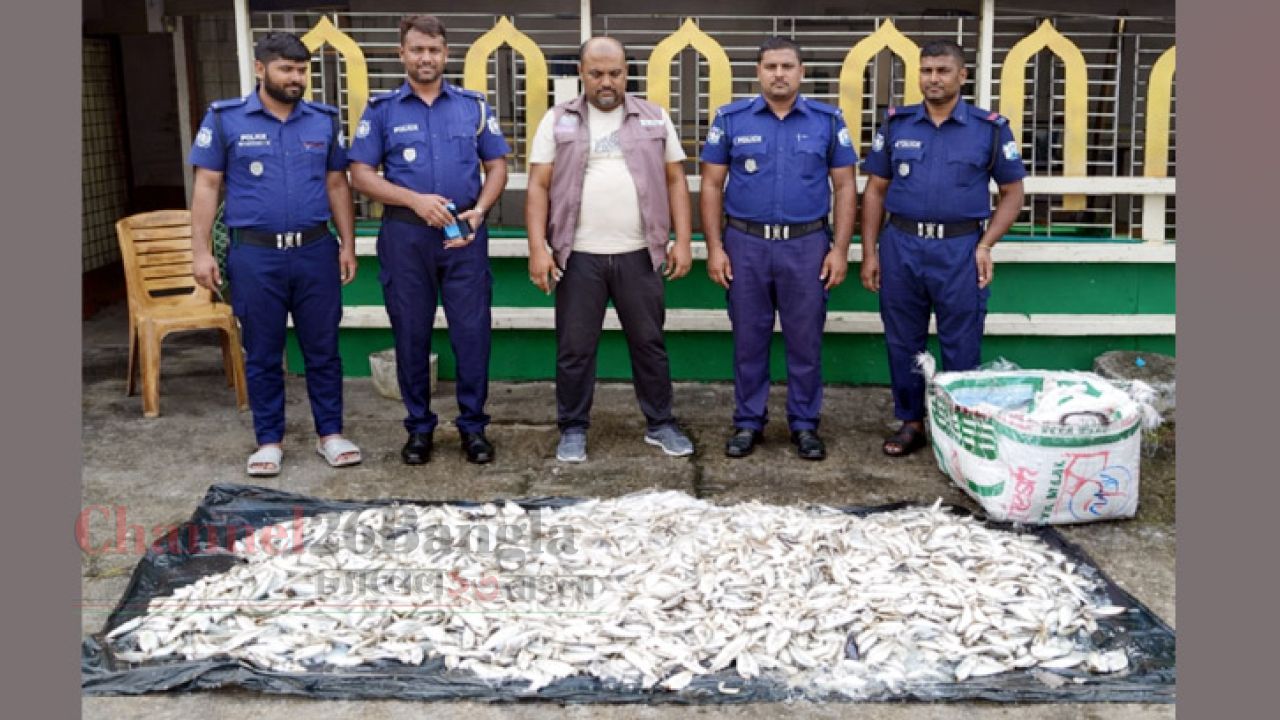 নারায়ণগঞ্জে ৫ মণ জাটকা জব্দ: এতিমখানায় বিতরণ