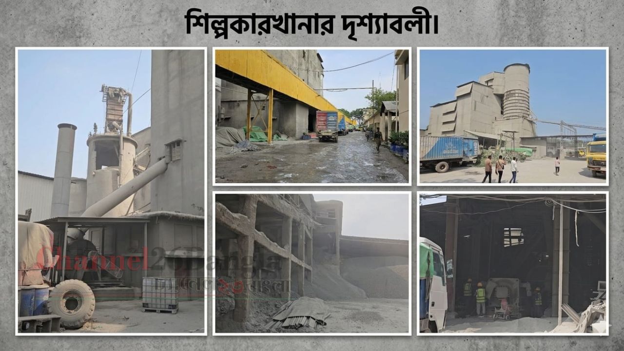 সিদ্ধিরগঞ্জে সাতঘোড়া সিমেন্টের ধুলায় ধূসরিত জনপদ বাড়ছে প্রাণঘাতী রোগের ঝুঁকি