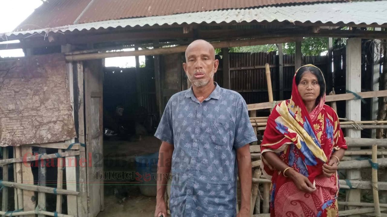 শ্রীপুরে দুই ভাইয়ের ৫ গরু ও ছাগল চুরি: নিঃস্ব খামারি