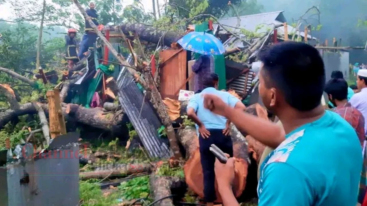 রংপুরে ঝড়ে গাছ উপড়ে বাড়ির ওপর: শিশুসহ আহত ৫