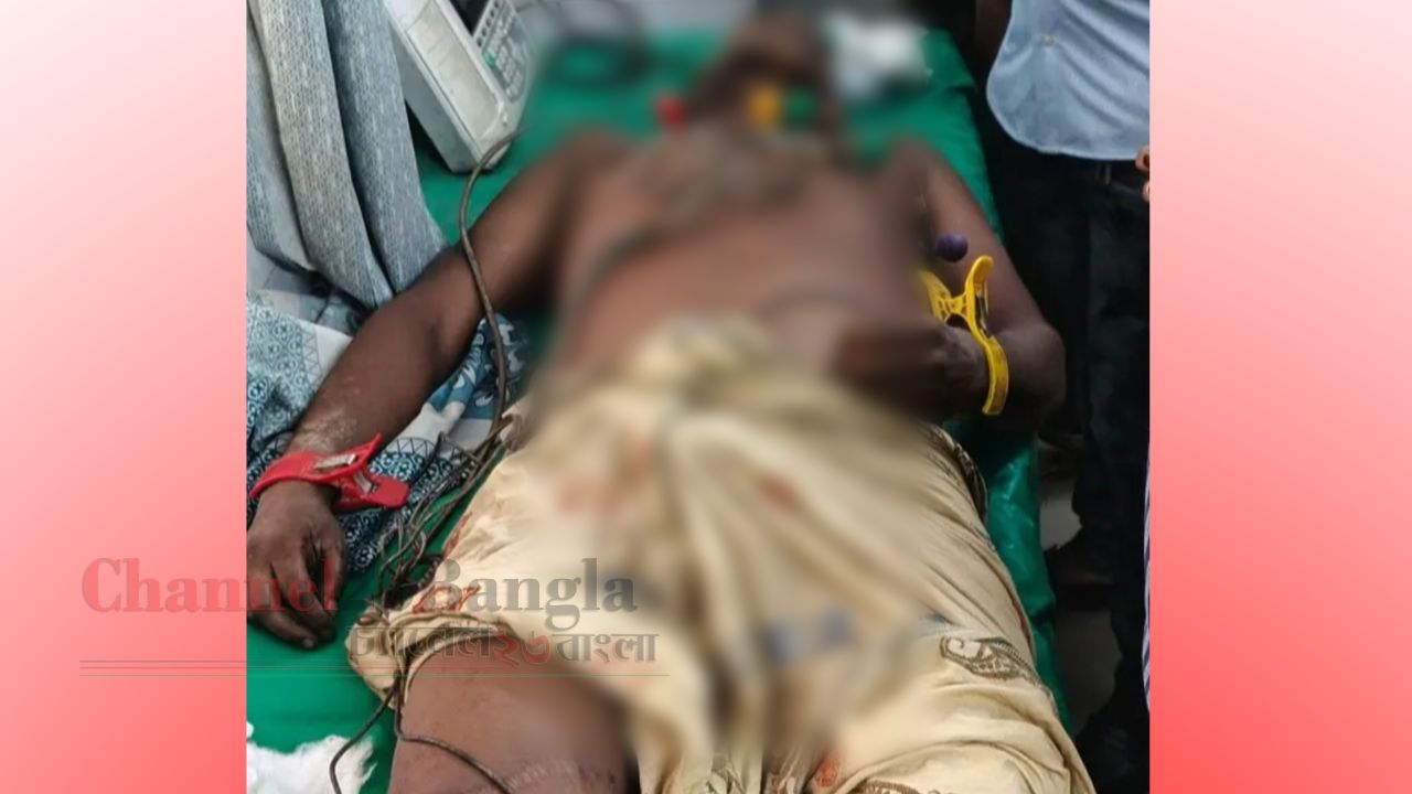 মাঠে কাজ করার সময় সাপের আক্রমণে প্রাণ হারালেন মাগুরার কৃষক