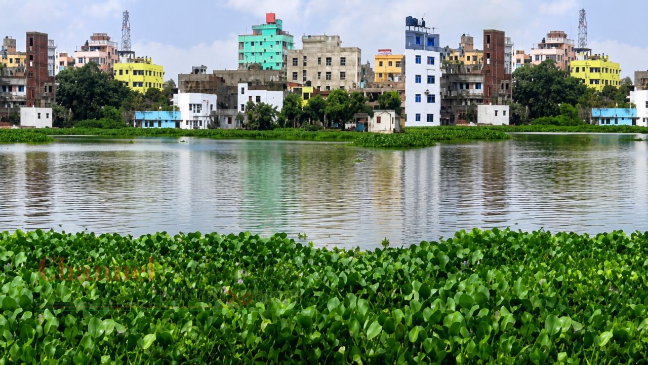 সামান্য বৃষ্টিতেই তলিয়ে যাচ্ছে চাঁদনী হাউজিং: সেচ পাম্প স্থাপনের দাবি