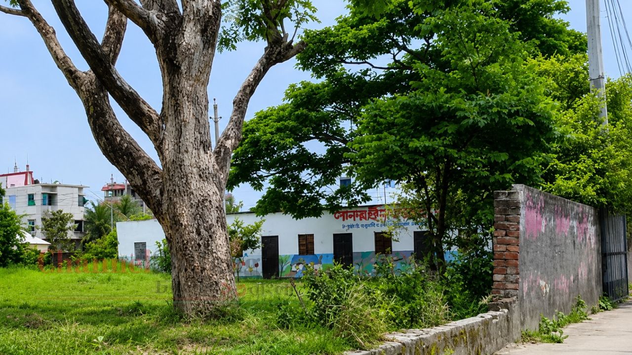সিদ্ধিরগঞ্জে অরক্ষিত সানরাইজ মডেল স্কুল: নিরাপত্তা নিয়ে উদ্বিগ্ন শিক্ষক-অভিভাবক