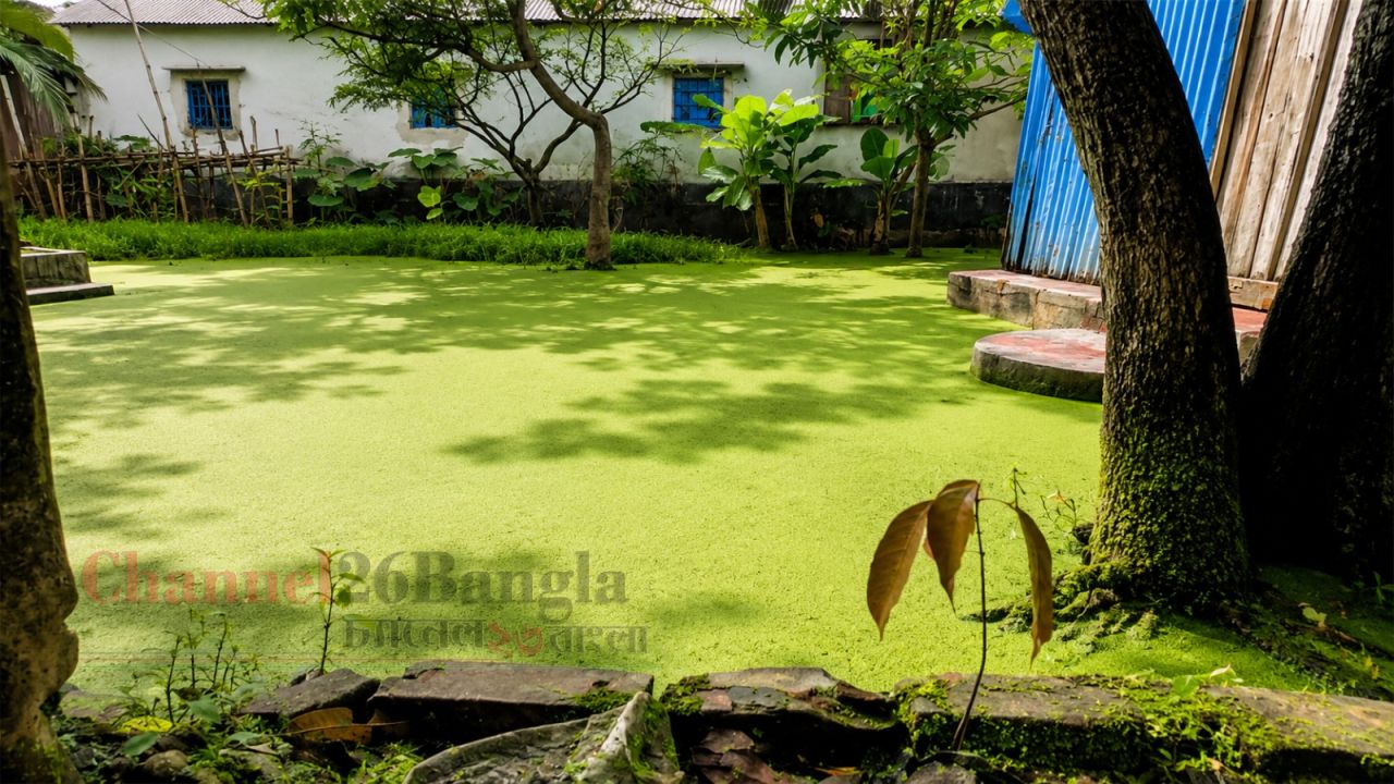 বন্দরে টানা বর্ষণে ৩ ওয়ার্ডে তীব্র জলাবদ্ধতা: চরম দুর্ভোগে বাসিন্দারা