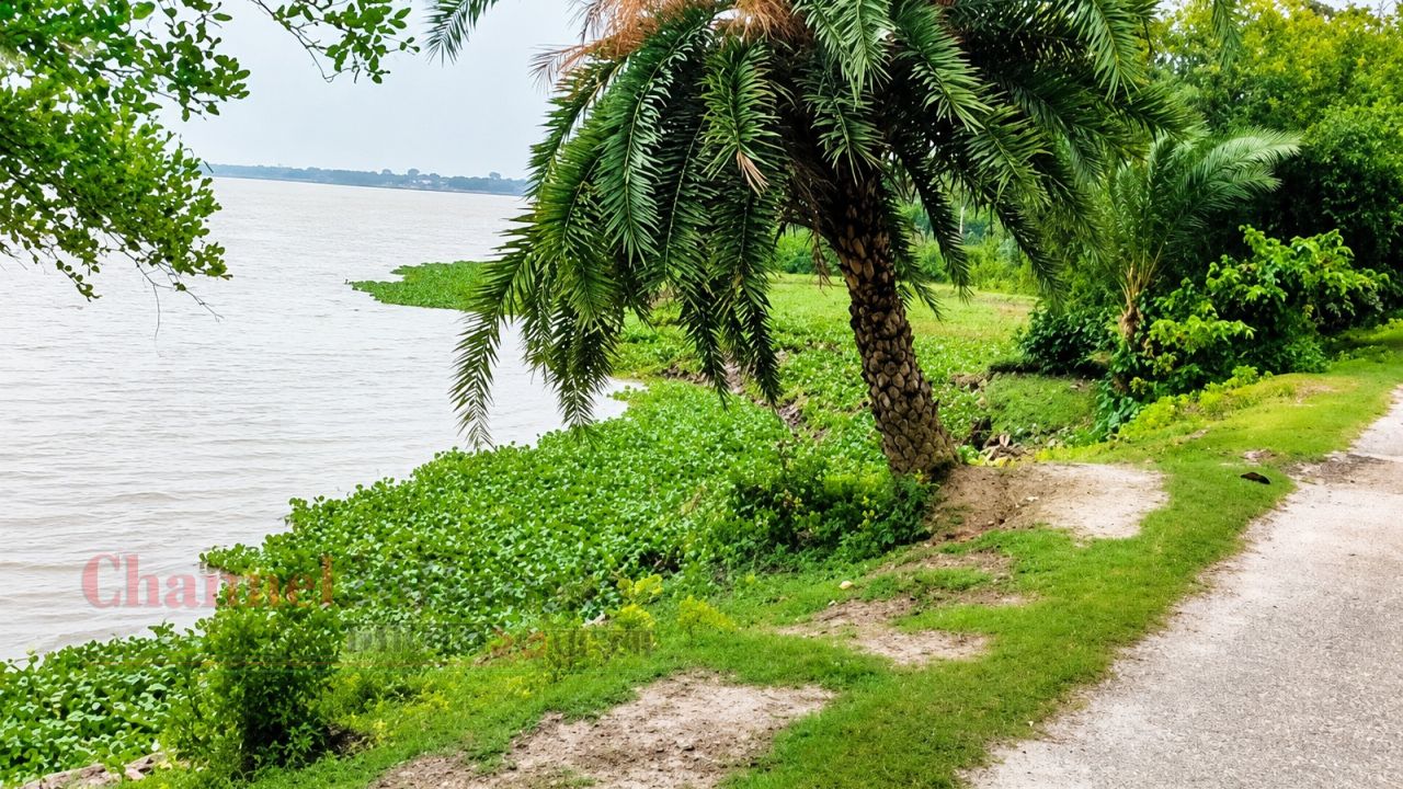 বটিয়াঘাটায় নদী ভাঙন: হুমকিতে খুলনার শহররক্ষা বেড়িবাঁধ