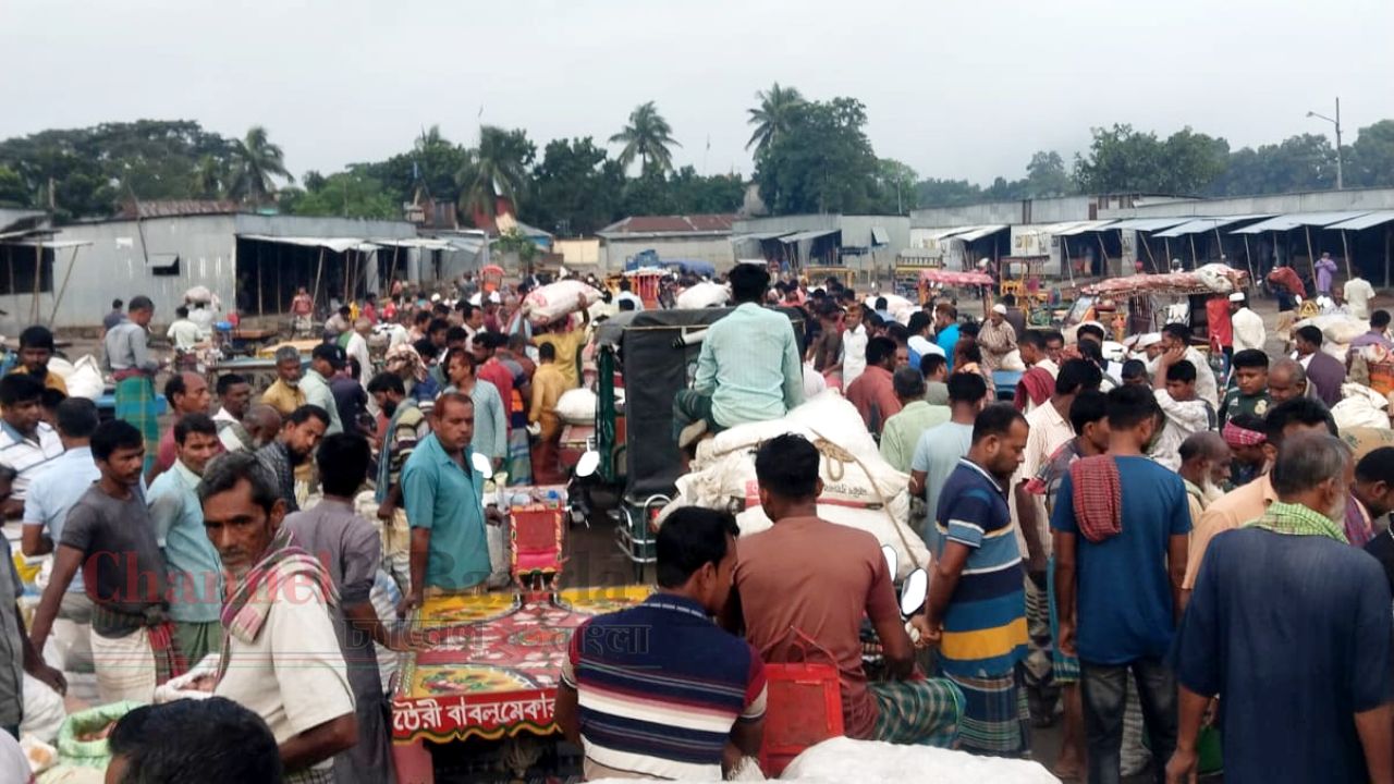 দামের অস্থিরতায় দিশেহারা পাবনার পেঁয়াজ চাষিরা, ন্যায্য মূল্যের দাবি